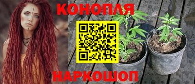 индика Волгодонск