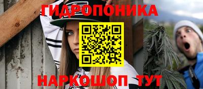 индика Волгодонск