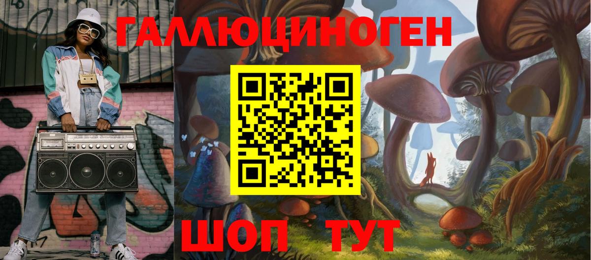 Звенигород  Псилоцибиновые грибы прущие грибы  Вход с VPN 